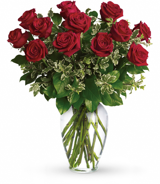  One Dozen Red Roses Arranged from Sharon Elizabeth's Floral Designs in Berlin, CT