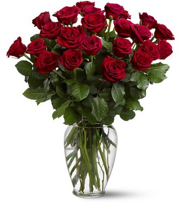 Two Dozen Red Roses from Sharon Elizabeth's Floral Designs in Berlin, CT